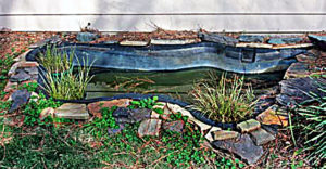 Pond Liner
